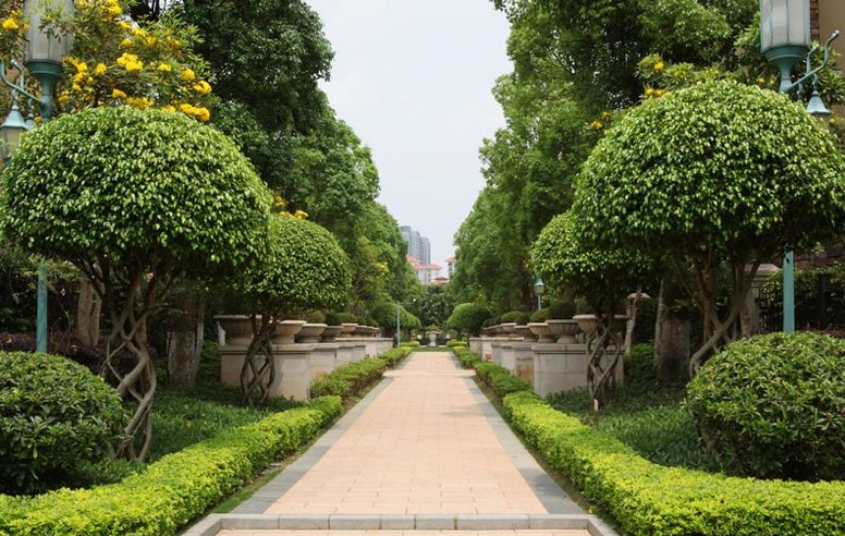 1536306667868854.jpg 1.jpg