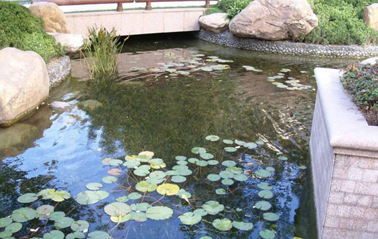 1536308561135171.jpg 1.jpg