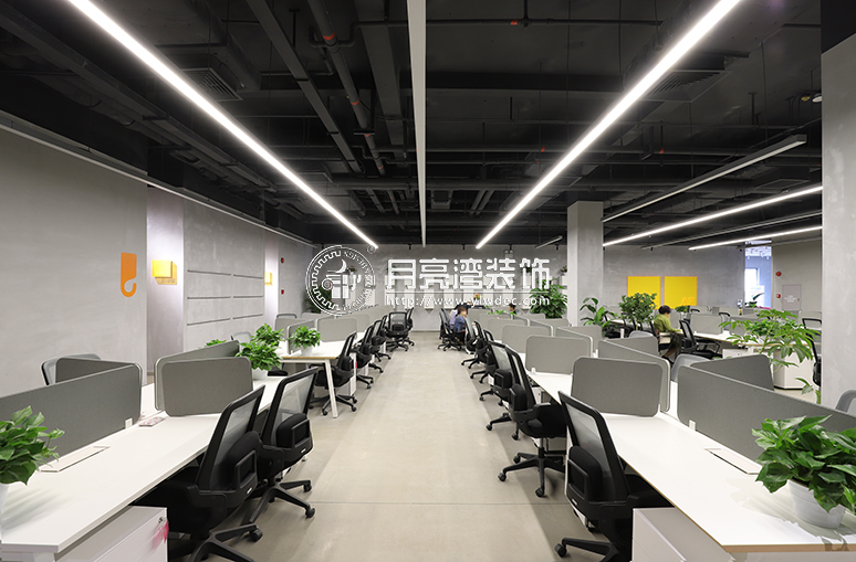 1550481452707270.jpg 3.jpg